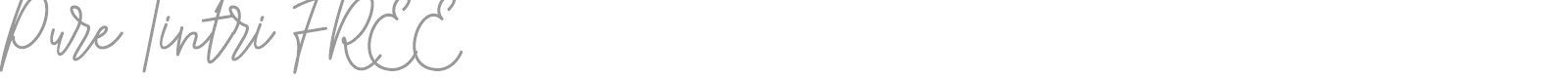 Pure Tintri font preview